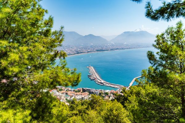 二手快艇價錢分析與選購指南