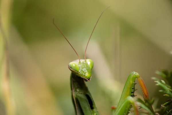裝修工程的重要性與深刻教訓