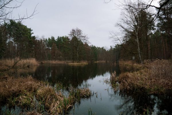 驗樓服務:讓你的新屋沒有秘密